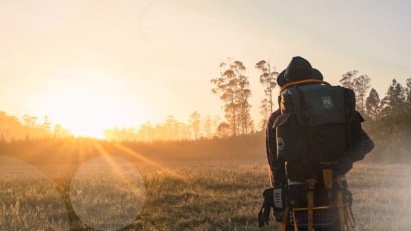 Caminando Hacia el Éxito: Coaching para Lograr tus Metas