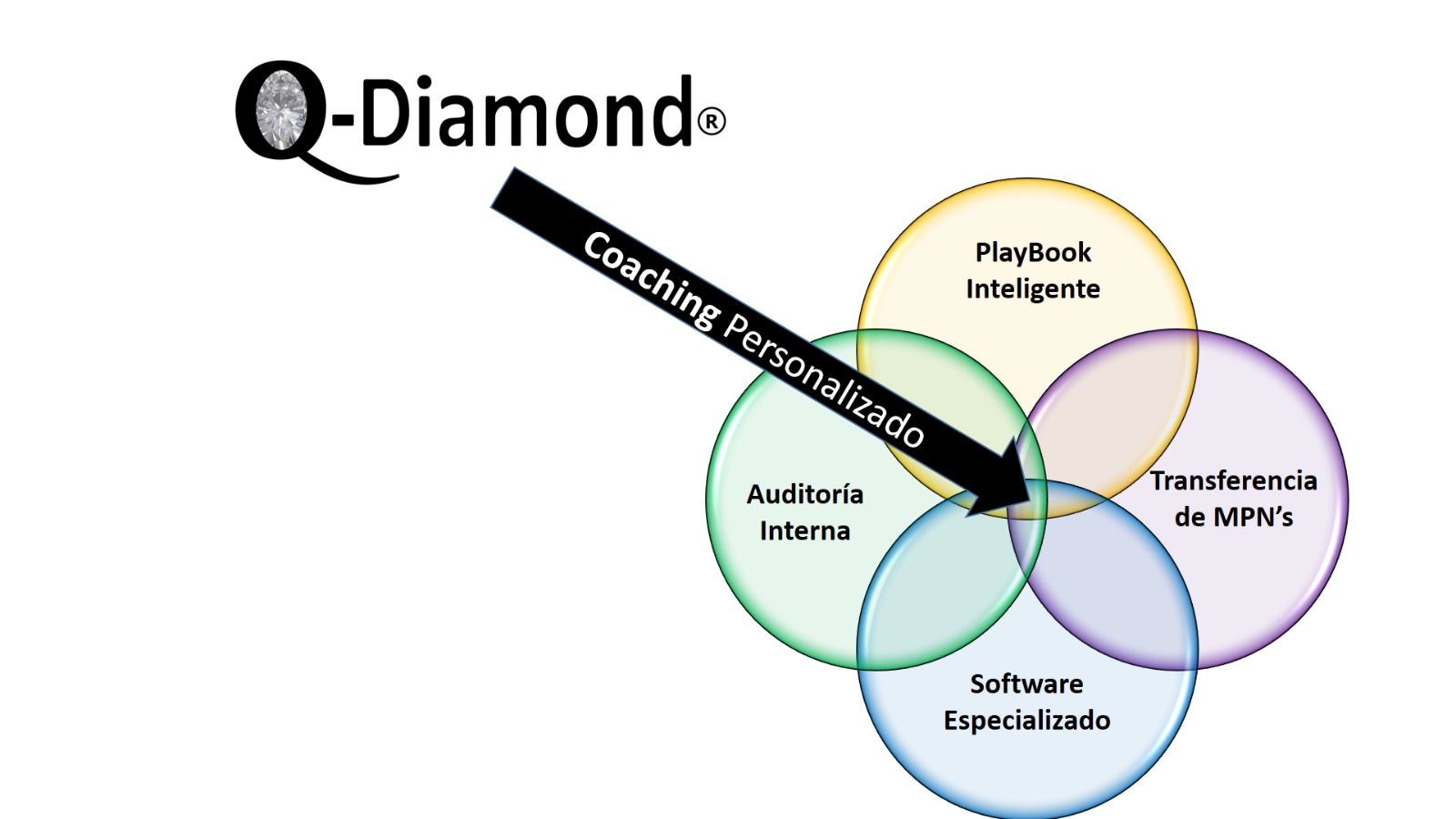 Coaching Personalizado